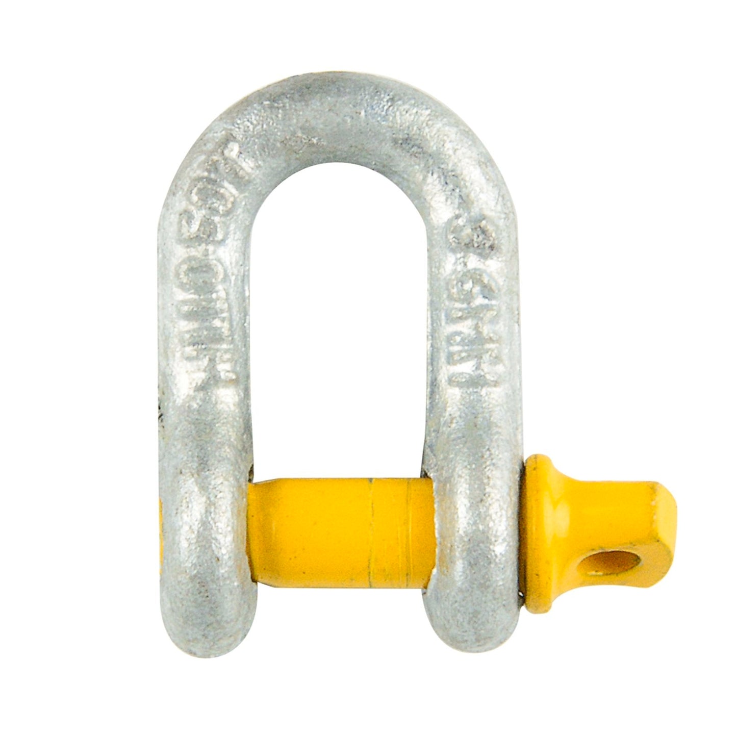 Pinnacle Galvanised D Shackle - 6mm - 0.5T