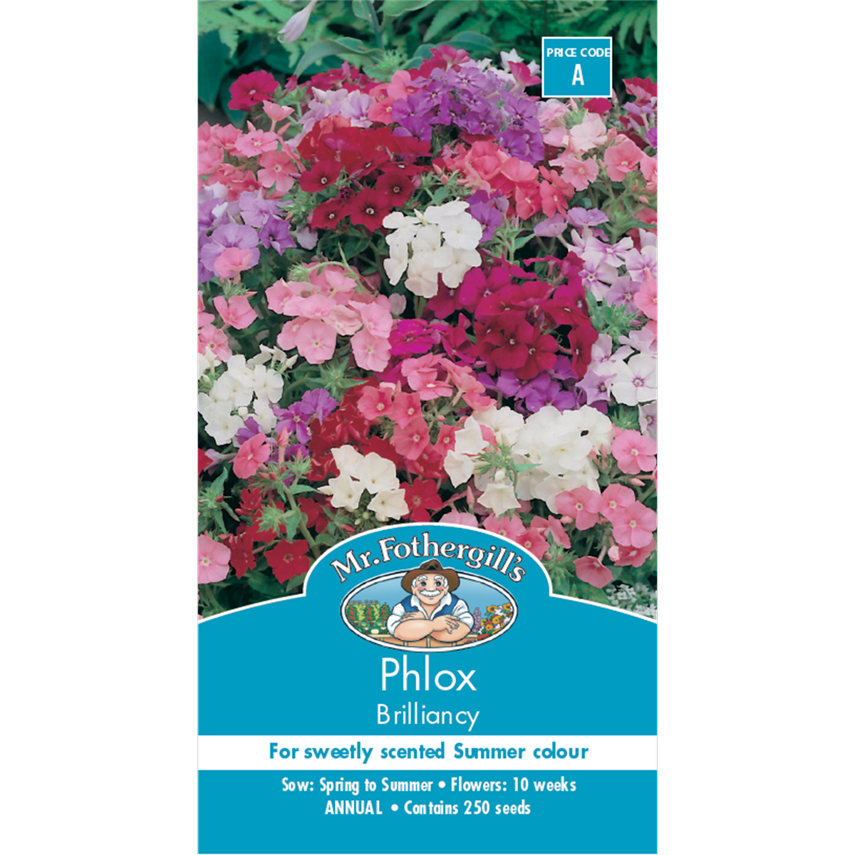 Mr Fothergill Phlox Brilliancy Flower Seeds 10 Weeks Annual Colorful