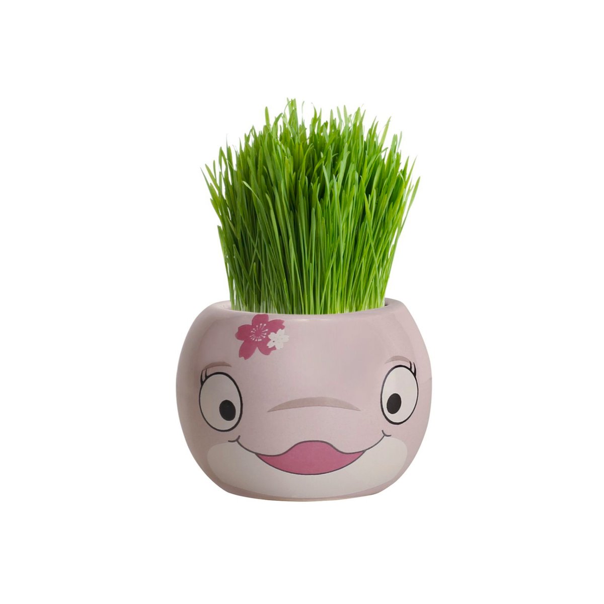 Mr Fothergill Grass Hair Bee Grow Kit - 4 Animal Shapes - 60mm x 47mm x 60mm