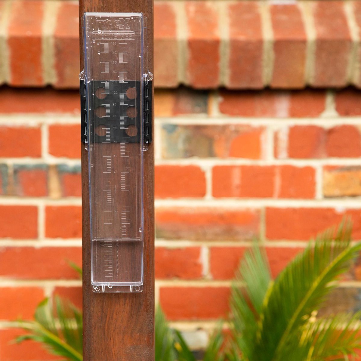 Nylex Rain Gauge 150mm Plastic Easy To Read Garden Watering Solution