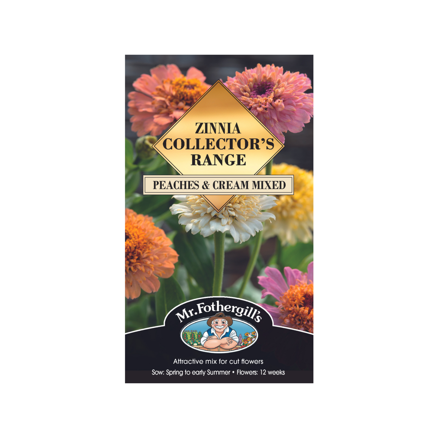 Mr Fothergill Zinnia Peaches and Cream Mixed Seeds