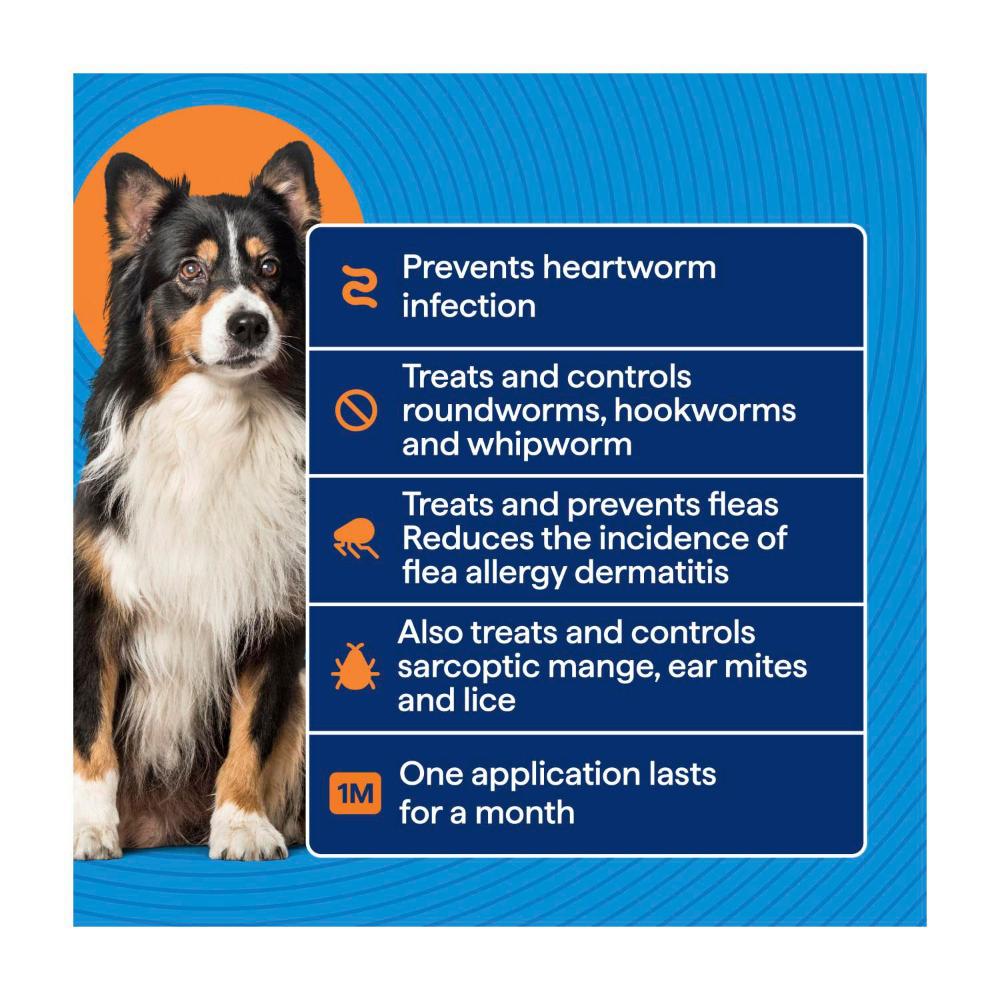 Totalcare Heartworm Flea Prot Med Dog Treatment - 1 Pack
