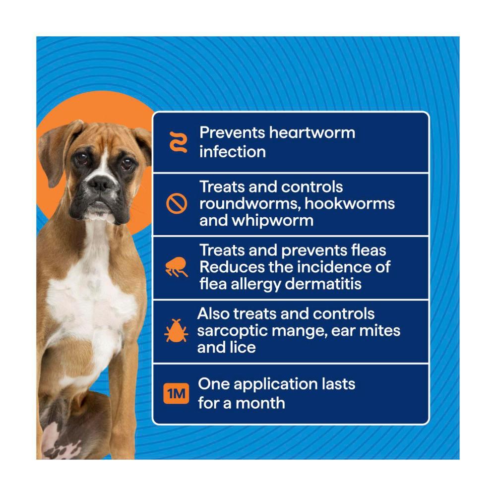 Totalcare Heartworm Flea Prot Large Dog Treatment - 1 Pack