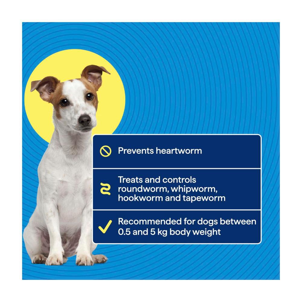 Totalcare Heartwormer Prot Puppies Small Dogs Treatment - 2 Pack