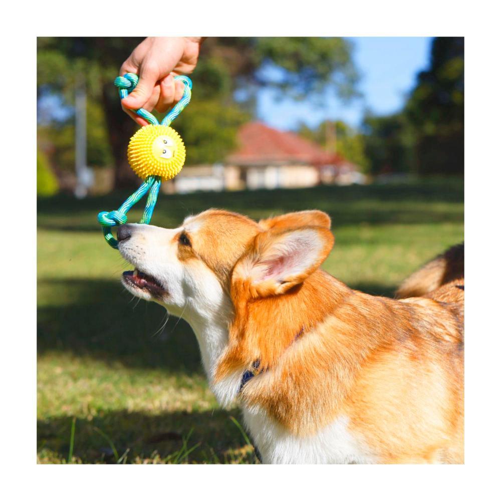 Totalcare Toy Tug Rope - 1 Pack