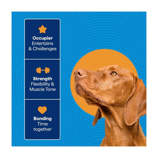 Totalcare Toy Tug Rope - 1 Pack