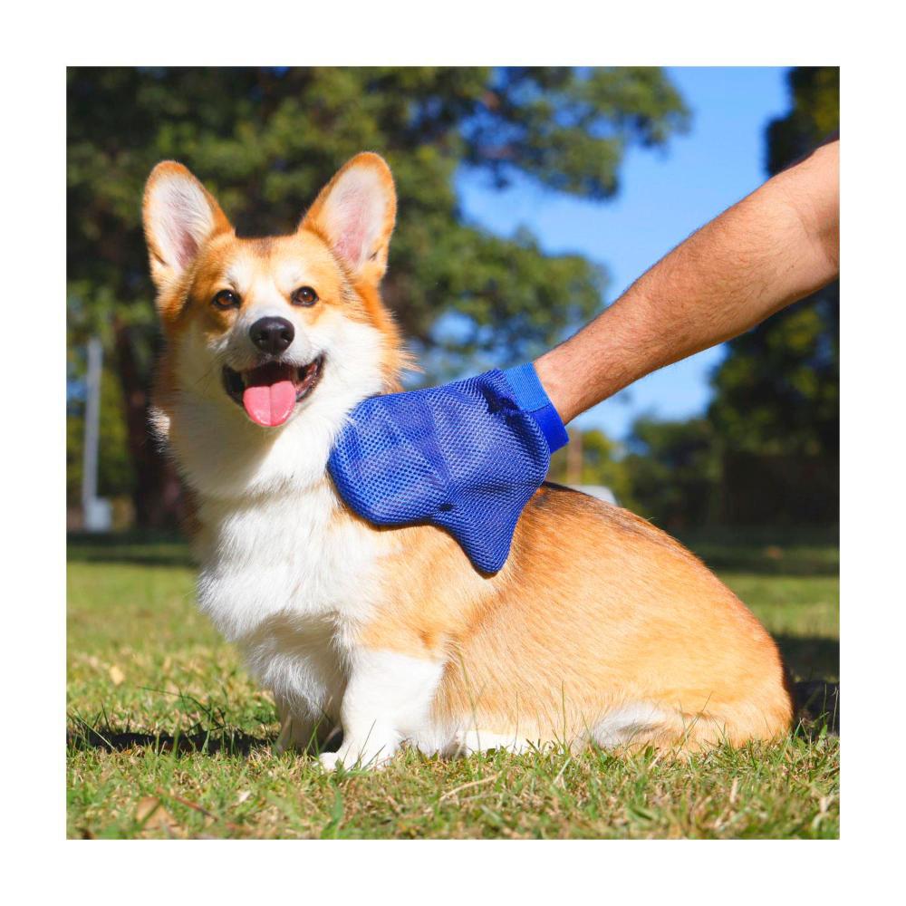 Totalcare Shampoo & Grooming Glove - 1 Pack