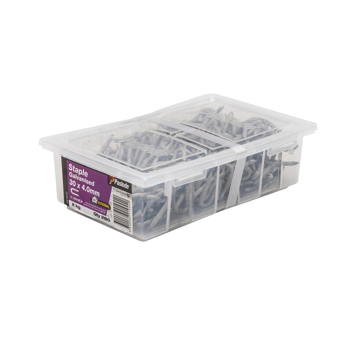 Paslode Galvanised Staple Nail 30mm x 4mm 2kg Durable Fixing Solution