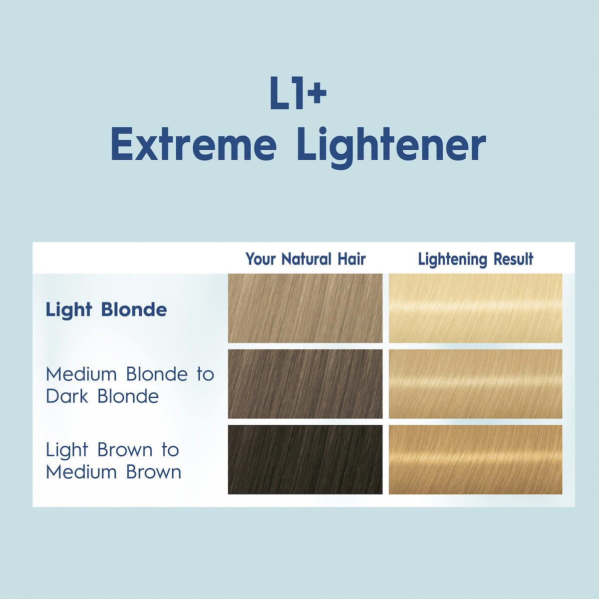 Schwarzkopf Nordic Blonde Hair Colour Bleach L1+ Extreme Lightener Each