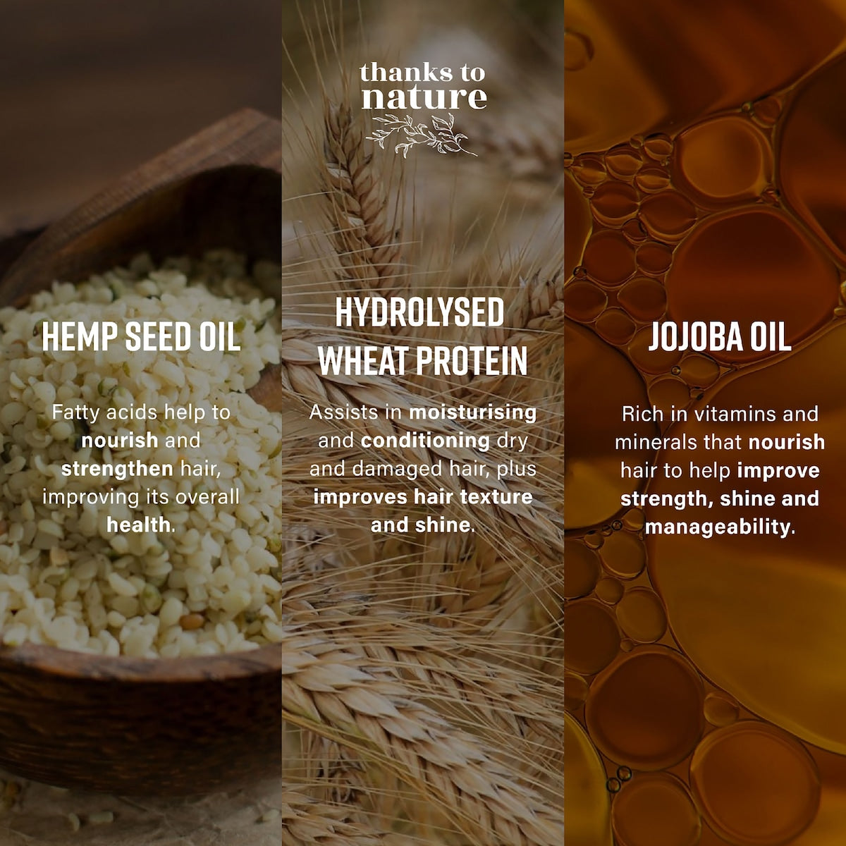 Thanks To Nature Repair & Strengthen Shampoo Hemp Seed Oil For Damaged Hair 500ml