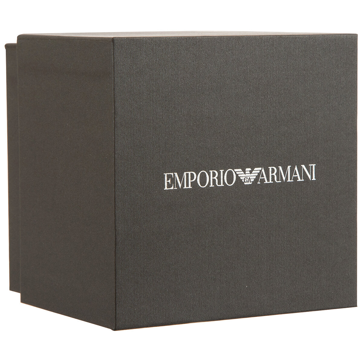 Emporio Armani Stainless Steel Women's Watch AR11091