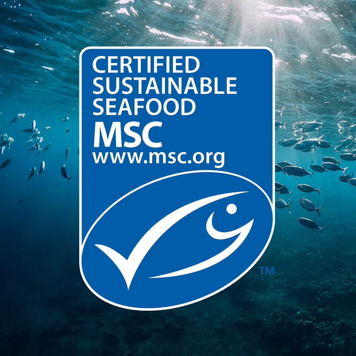John West Protein Tuna Bowl Brown Rice Couscous Tomato Onion Chilli 170g