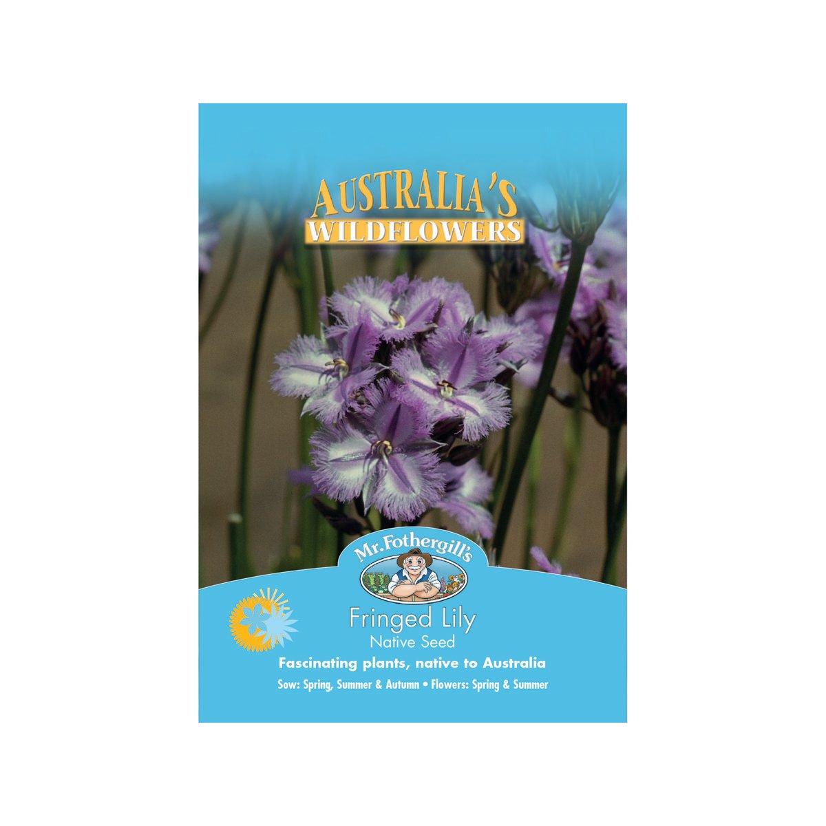 Mr Fothergill Fringed Lily Seeds - 50cm - Seeds - Hardy Drought Resistant