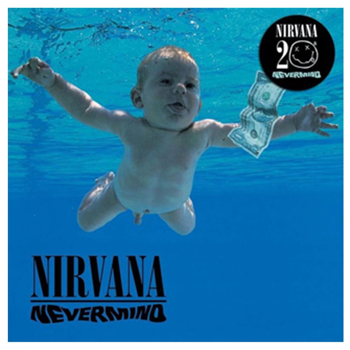 Framed Nirvana Nevermind Vinyl Album Art