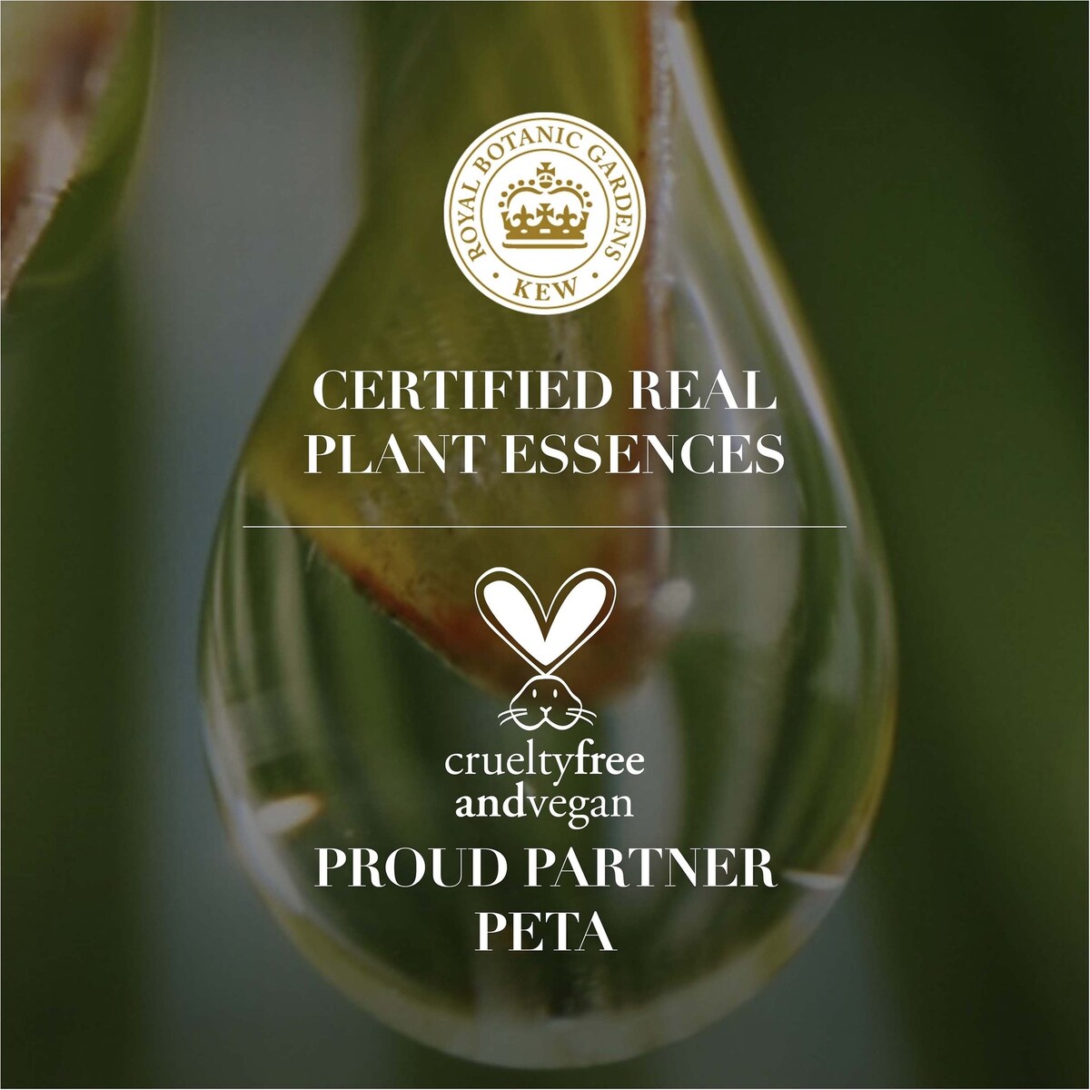 Herbal Essences Bio Renew White Strawberry & Mint Clean Shampoo 400mL