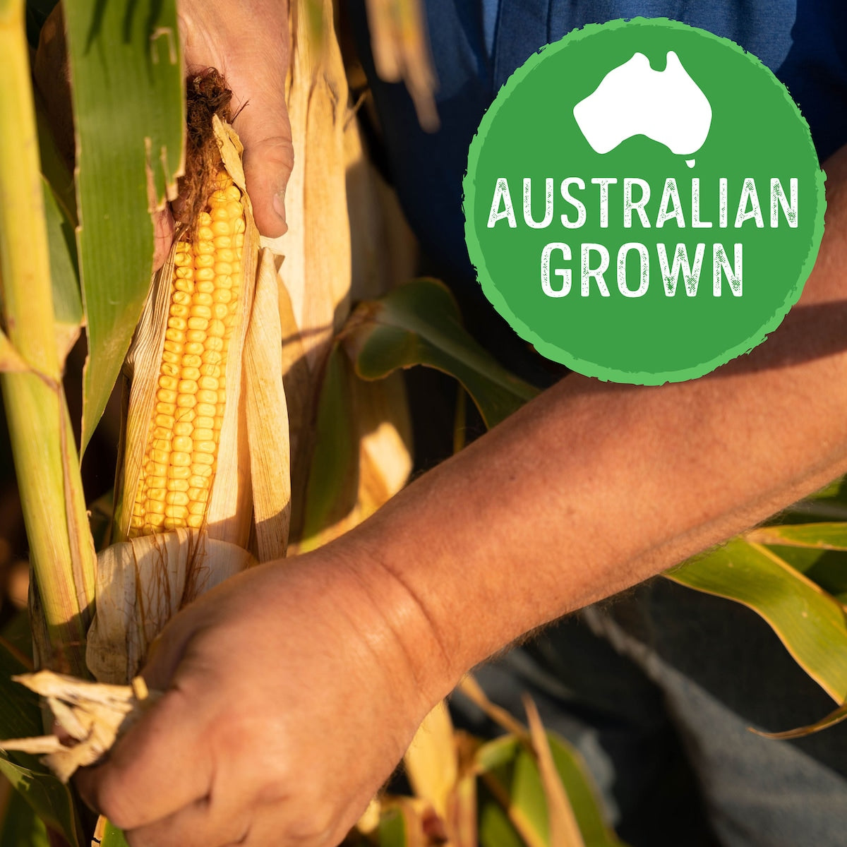 Edgell Grown Sweet Corn Kernels 125g X 4 Pack