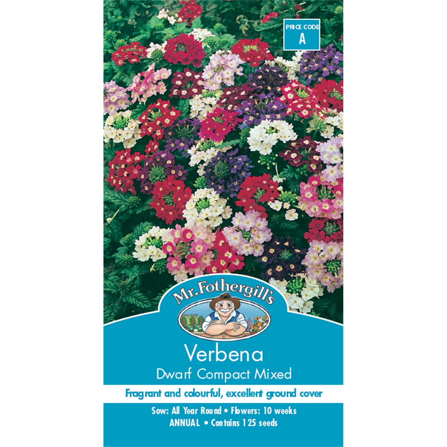Mr Fothergill Verbena Dwarf Compact Flower Seeds