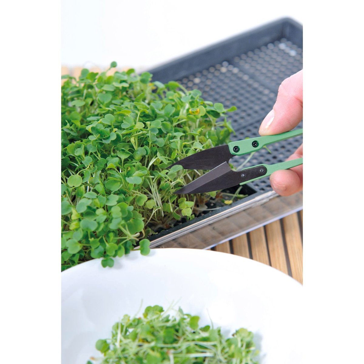 Mr Fothergill Micro Snips - Carbon Steel - 100mm - Easy Harvesting