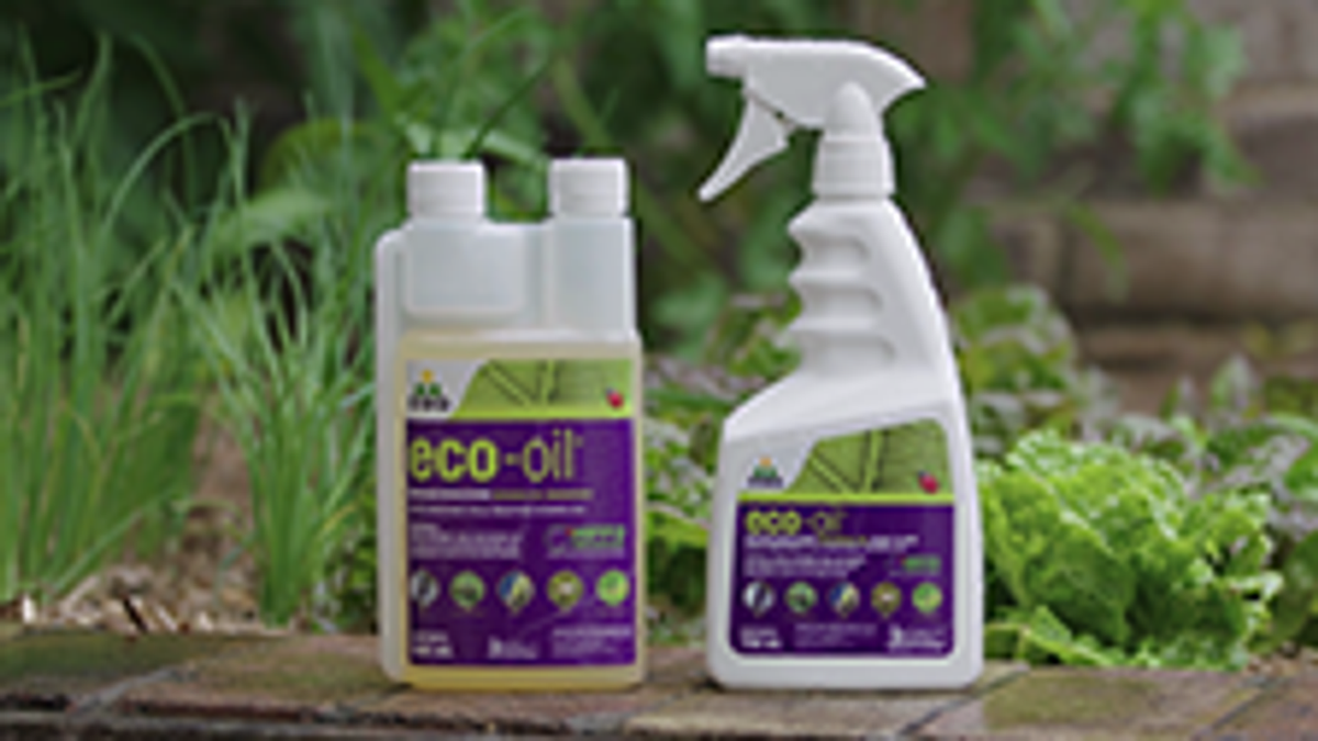 OCP Eco Oil - 750ml - Botanical Liquid - Organic Insecticide