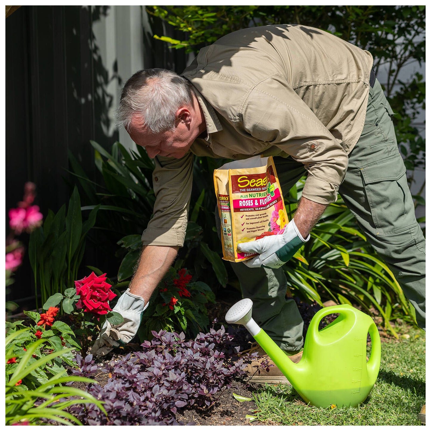 Seasol Plus Nutrients for Roses and Flowers - 2.5kg