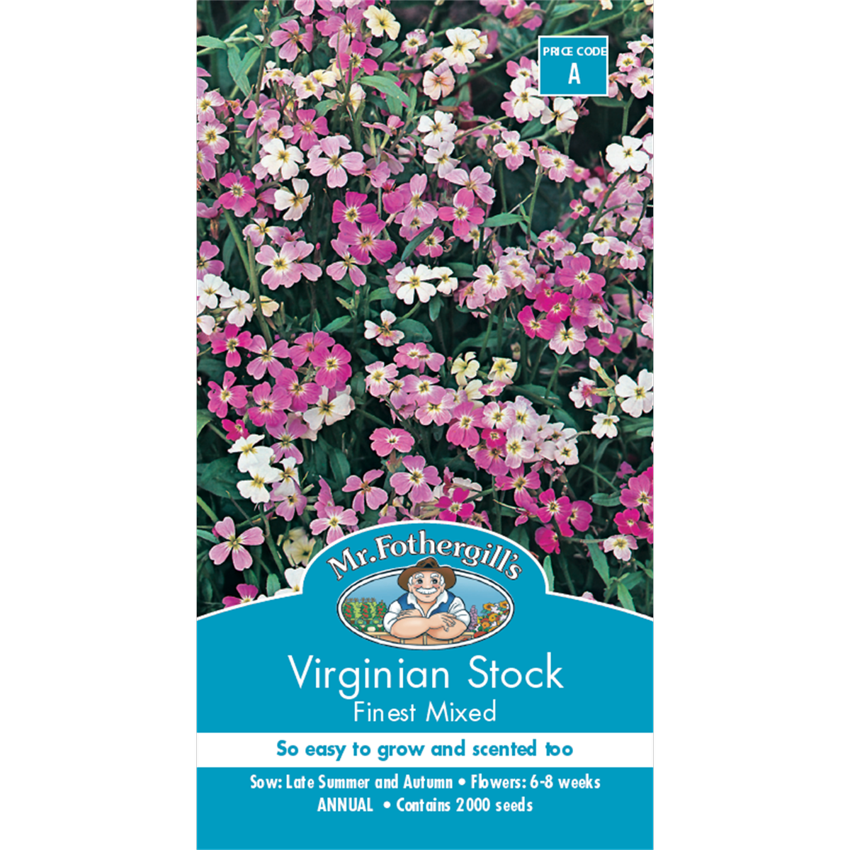 Mr Fothergill Virginian Stock Flower Seeds 75mm Hardy Scented Blooms