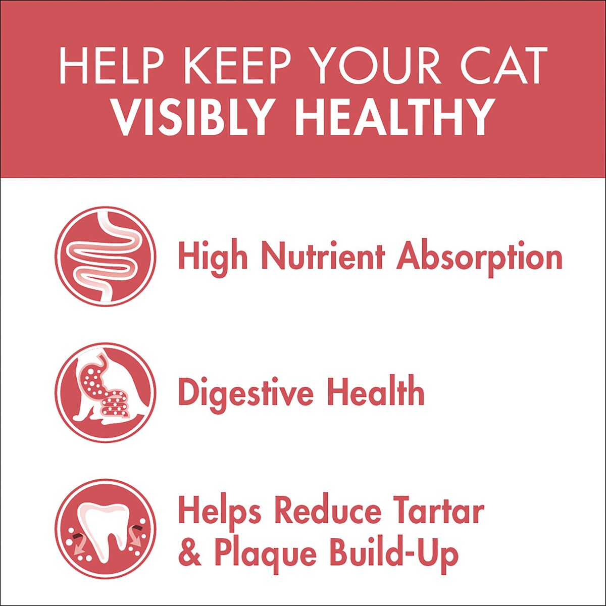 Purina One Healthy Adult With Salmon & Tuna 1+ Years Dry Cat Food 3kg