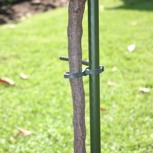 Jack 120mm Plastic Plant Ties - Adjustable & Reusable, 50pk
