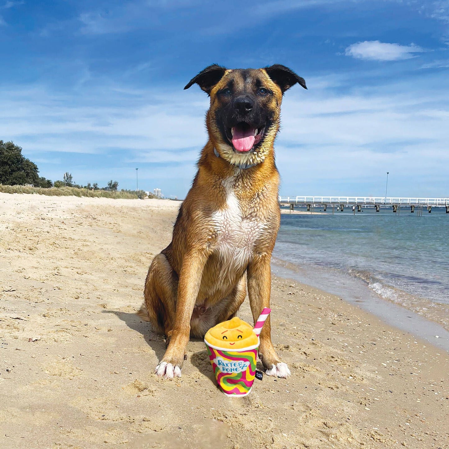 Baxter Bone Smiley Slushie Pet Toy - 80 x 220mm