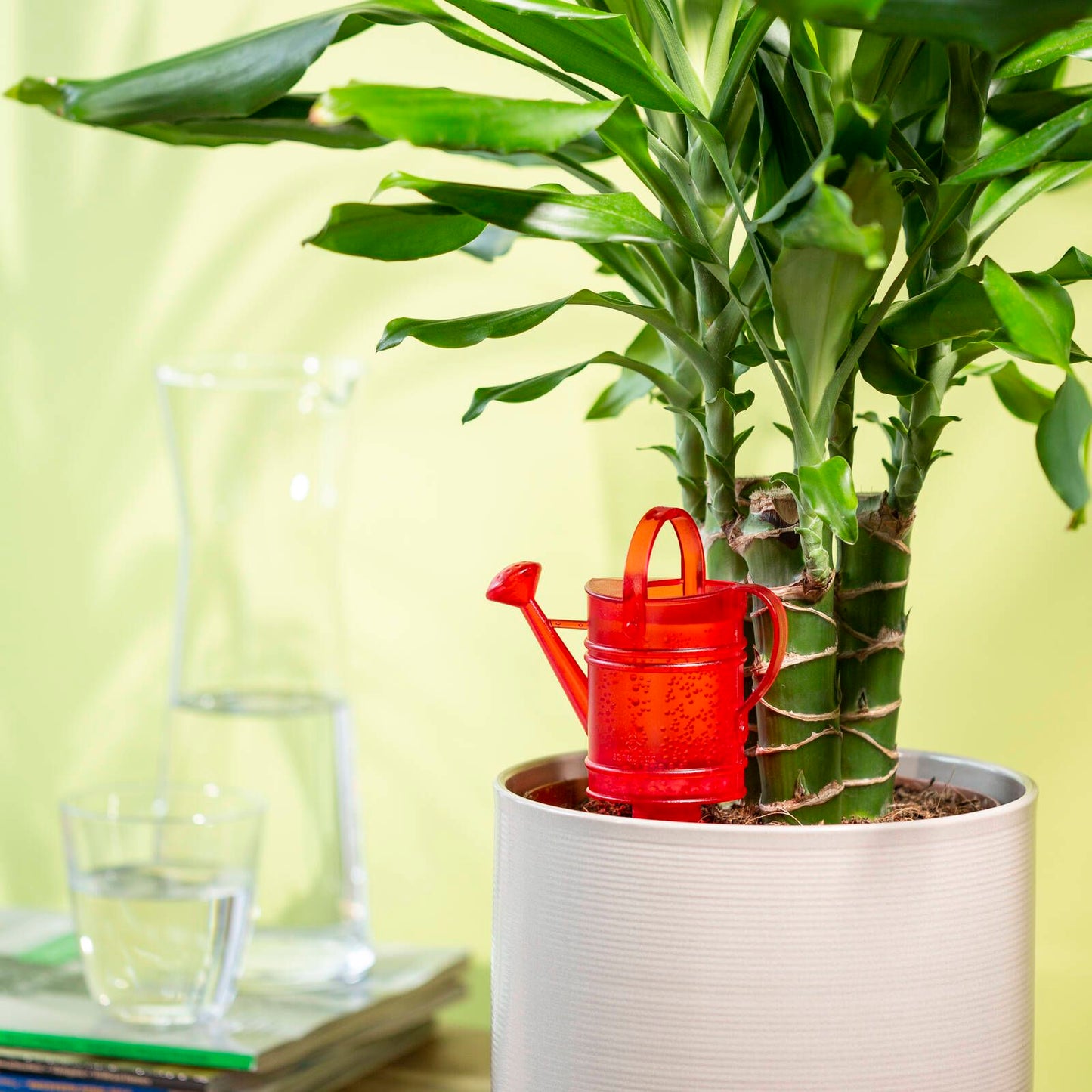 Scheurich Self-Watering Accessory - 12.5 x 6.5cm - Red