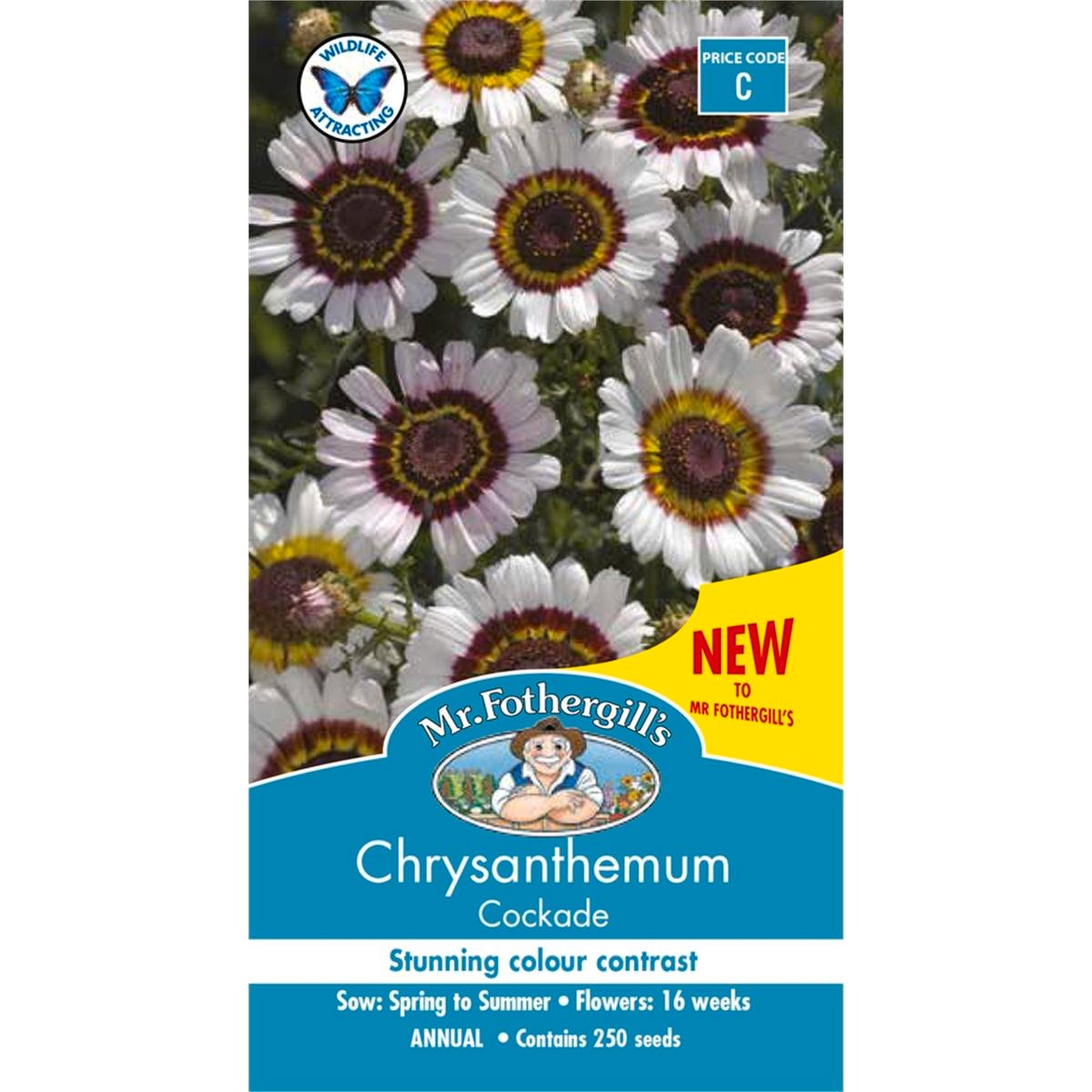 Mr Fothergill Chrysanthemum Cockade - Seeds - Attracts Bees & Butterflies
