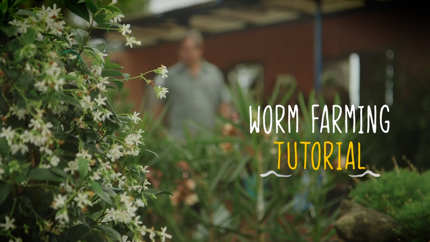 Tumbleweed Worm Farm Bedding Block