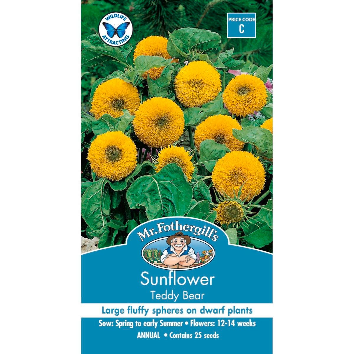 Mr Fothergill Sunflower Teddy Bear Seeds - 75mm - Easy To Grow - Attracts Pollinators
