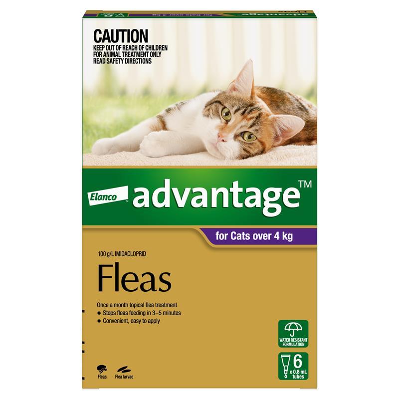 Advantage for Cats over 4kg 6 pack