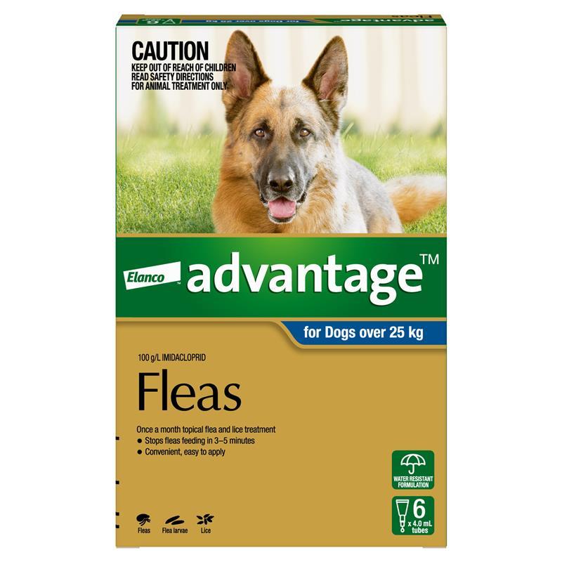 Advantage for Dogs over 25 kg 6 pack