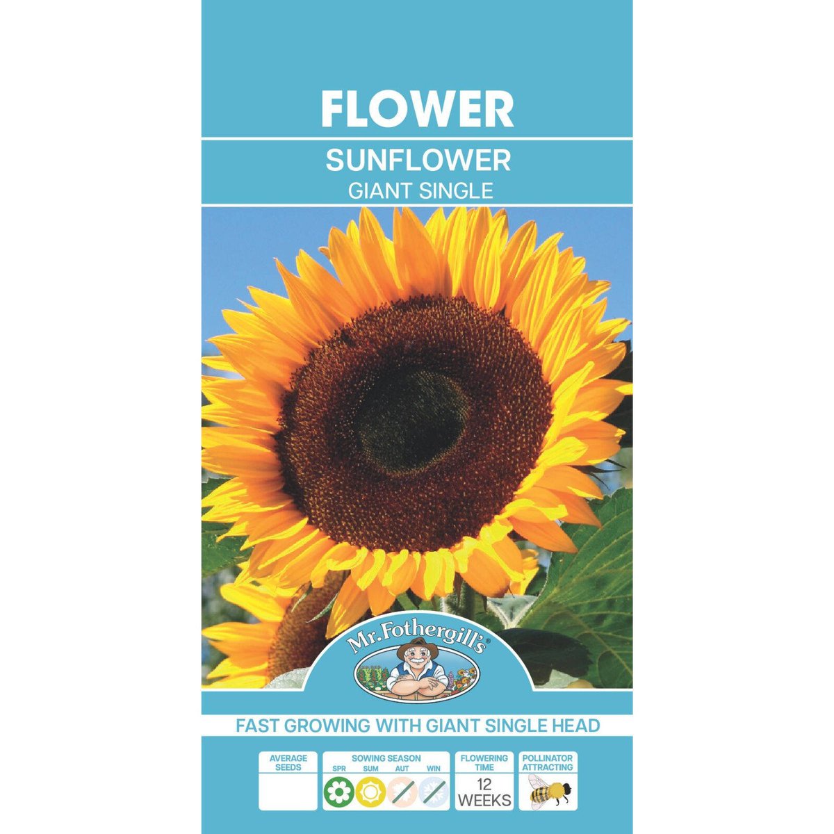 Mr Fothergill Sunflower Giant Single Seeds - 50 Seeds - Hardy - Quick Growing