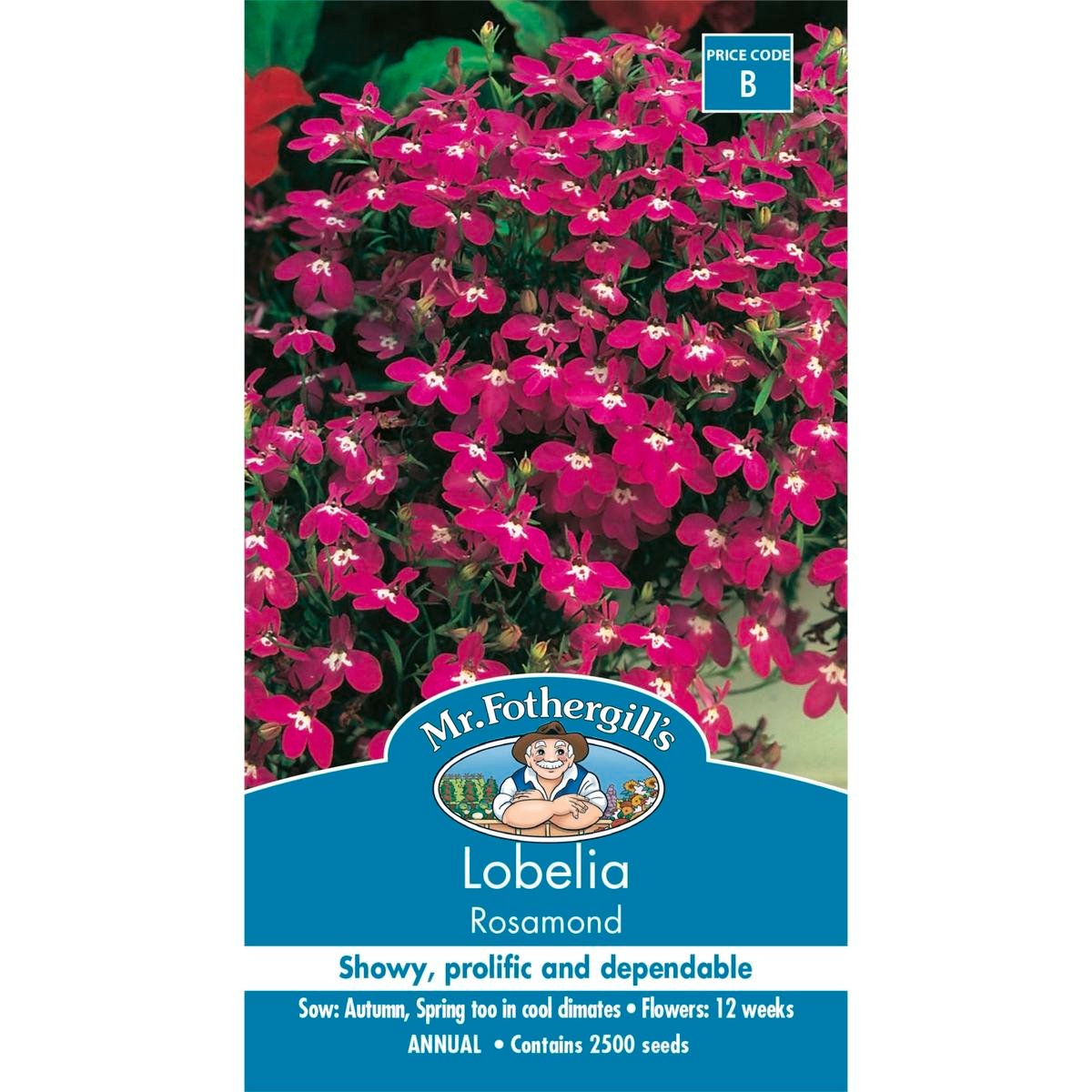 Mr Fothergill Lobelia Rosamond - 75mm - Compact - Frost Tolerant