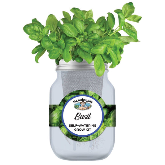 Mr Fothergill's Self Watering Mason Jar Grow Kit - Basil