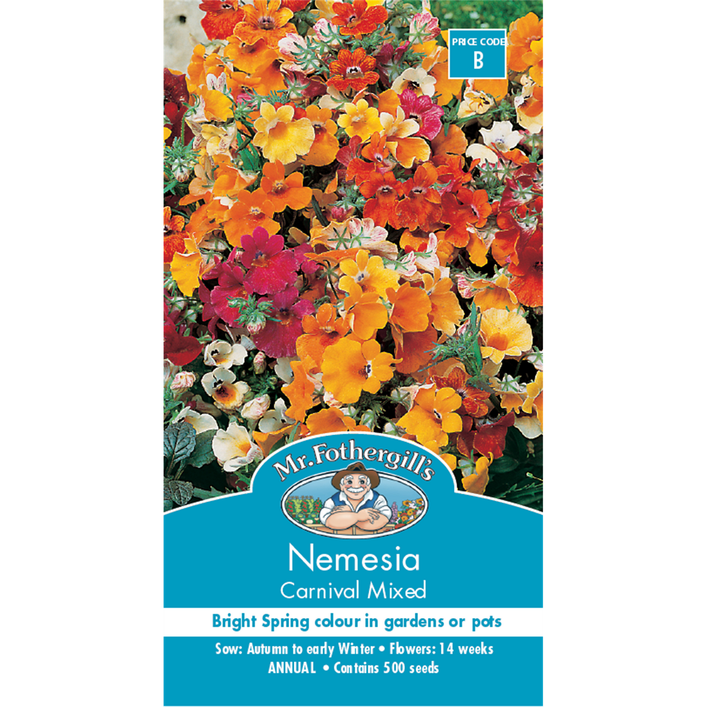 Mr Fothergill Nemesia Carnival Mixed Flower Seed