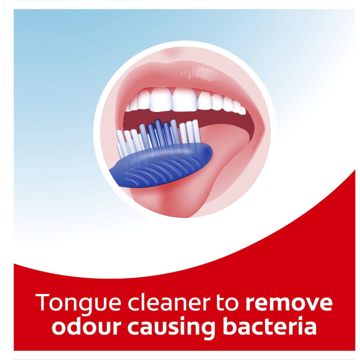 Colgate Toothbrush Extra Clean Medium Each