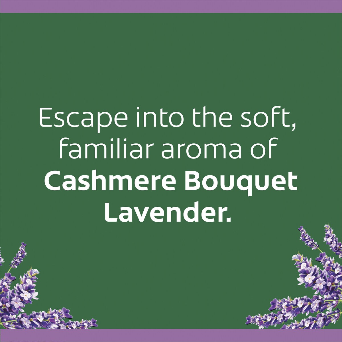 Cashmere Bouquet Bar Soap Lavender 100g X4 Pack