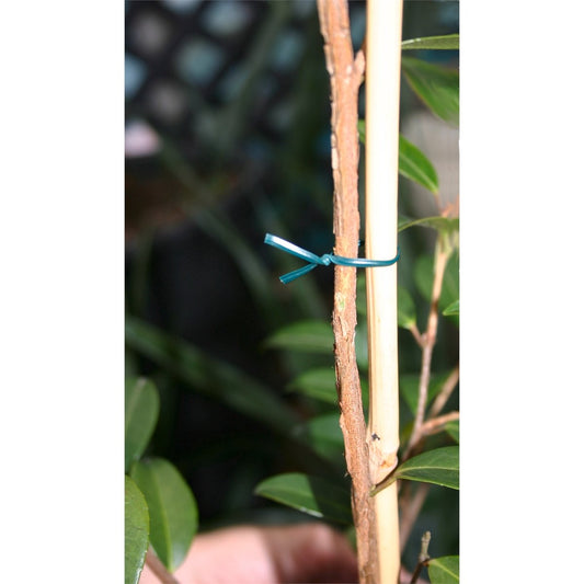 Jack 30m Twist Ties