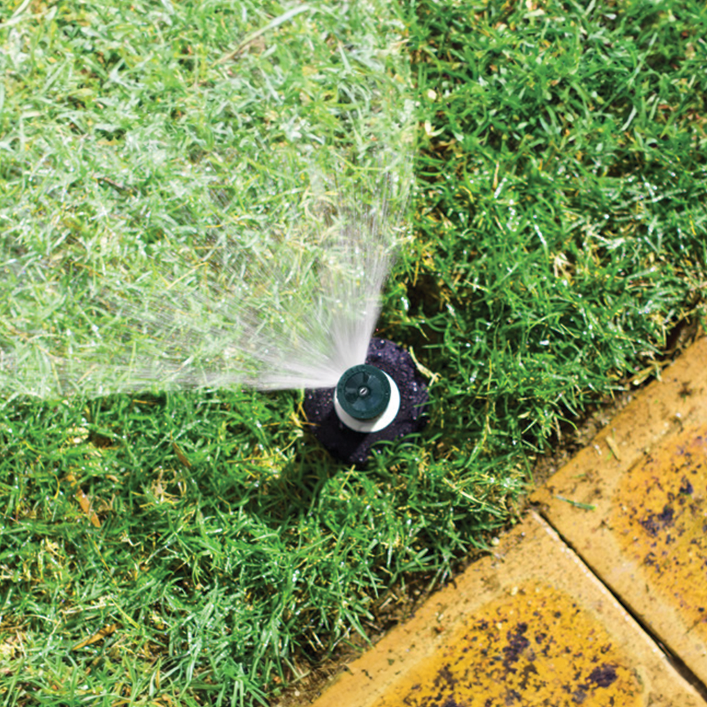 Holman Pop Up Sprinkler - 50mm - Quarter Circle