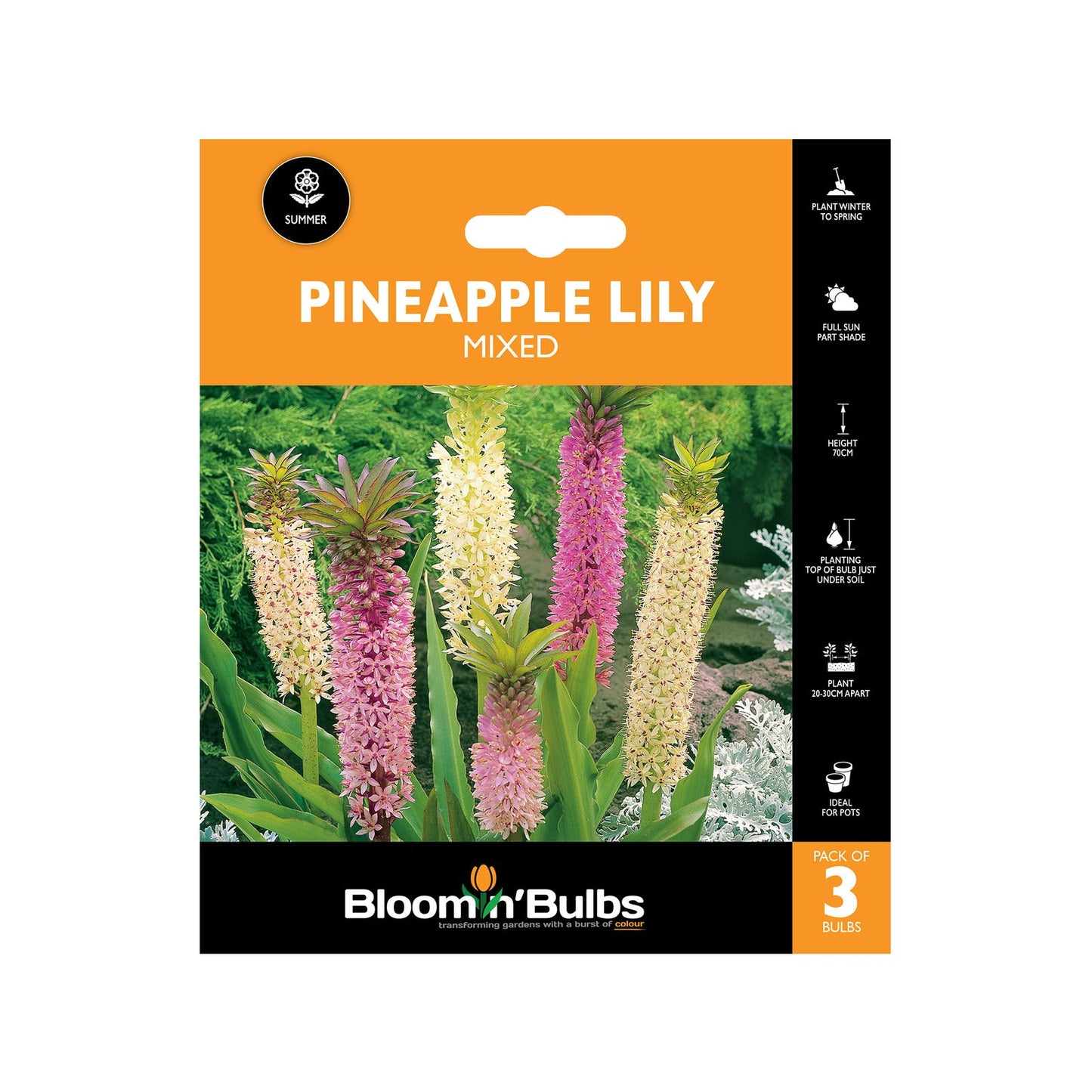 Bloomin Bulbs Pineapple Lily Mixed - 3 Pack