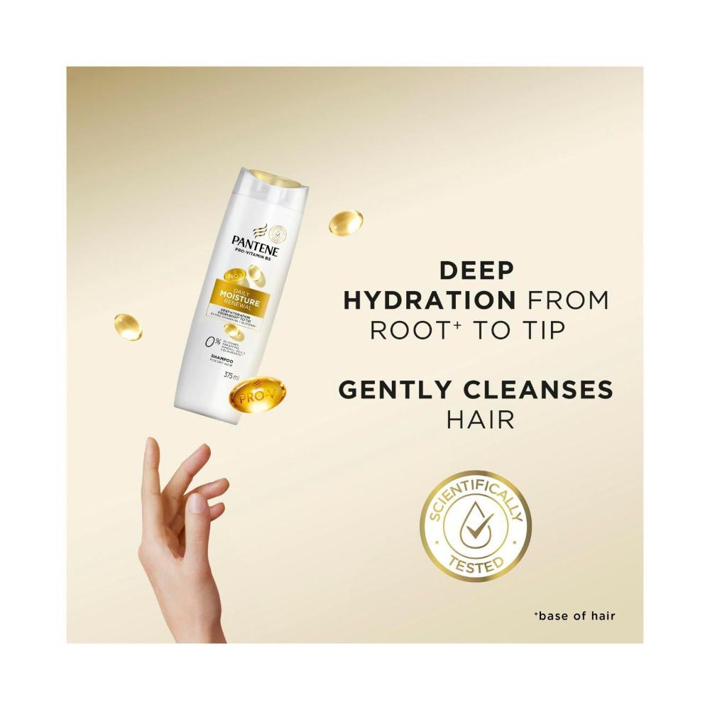 Pantene Smooth & Sleek Shampoo - 375mL
