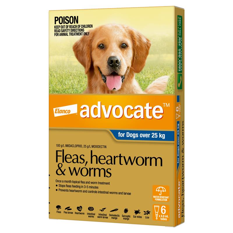Advocate for Dogs Extra Large over 25 kg 6 pack