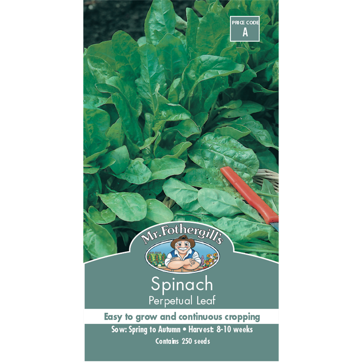 Mr Fothergill Spinach Seeds 75mm x 5mm Nutritious Greens Fast Growth