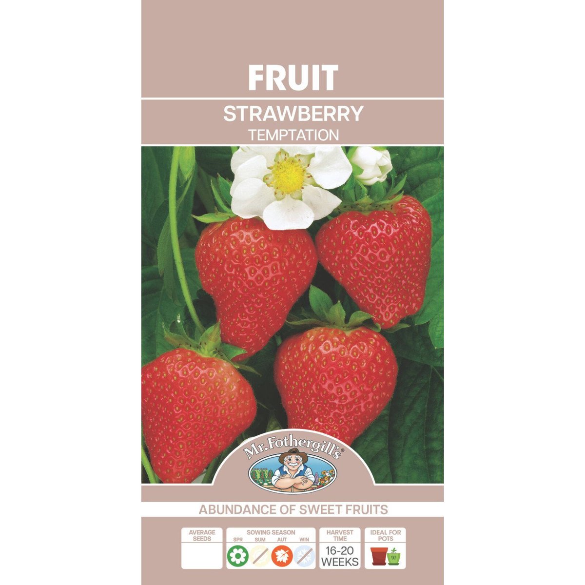 Mr Fothergill Strawberry Temptation Seeds - 10 Weeks - Easy Growth - Tasty