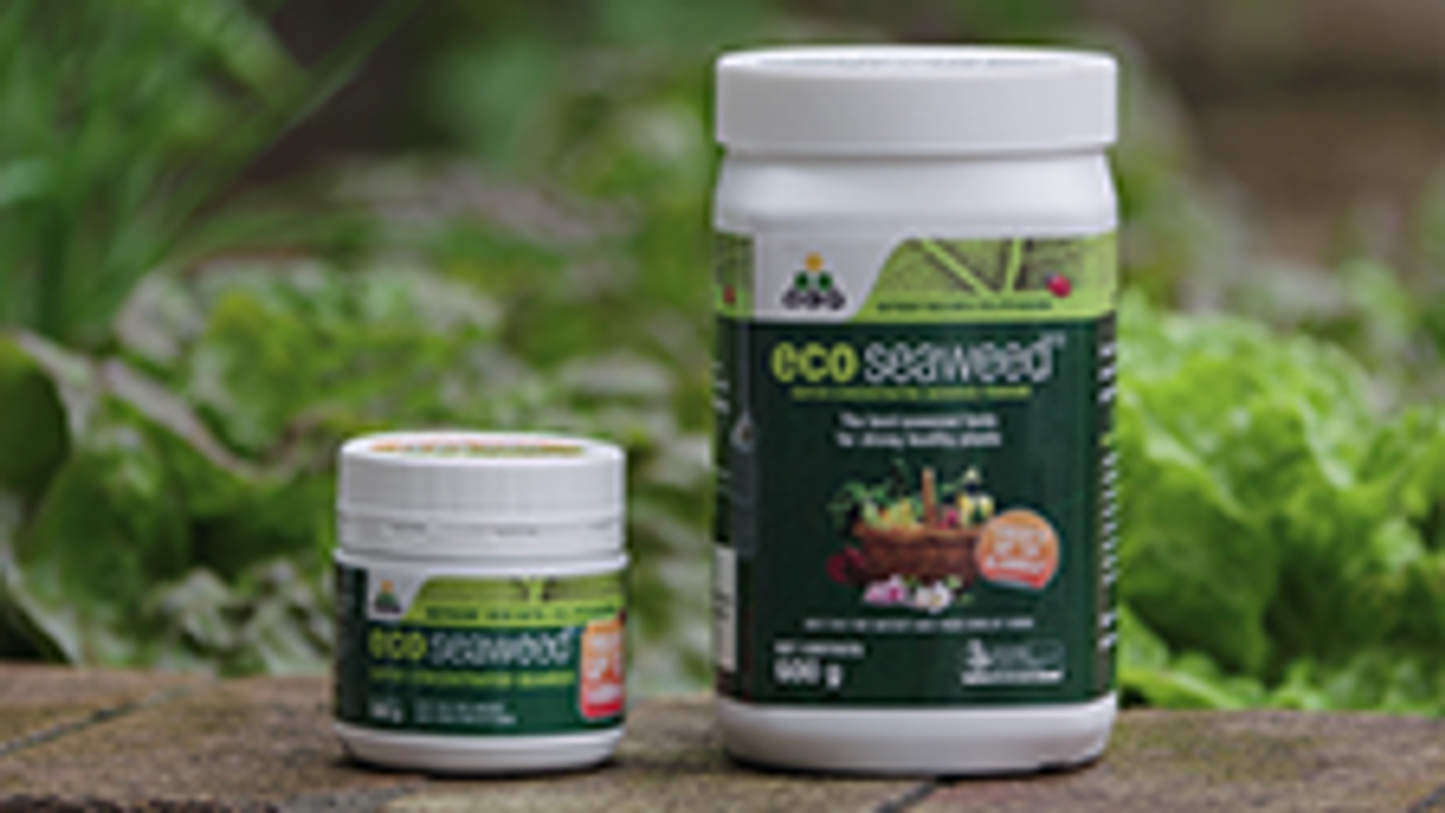 OCP Eco Seaweed Fertiliser - 600g