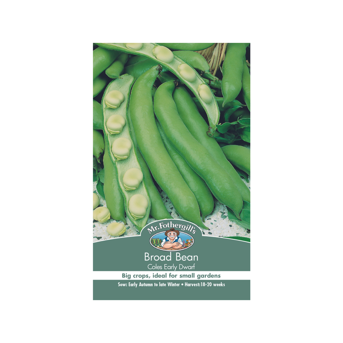 Mr Fothergill Broad Bean Seeds - 20 Weeks - Hardy - High Yield