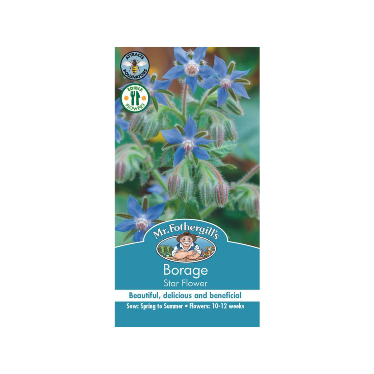 Mr Fothergill Borage Star Flower Seeds - 75mm - Seeds - Edible Flowers